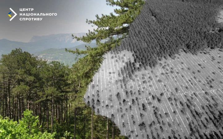 Спротив: окупанти в Криму вирубують ліс під прикриттям 