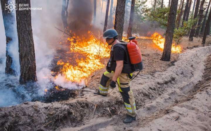 Вогнеборці локалізували масштабну пожежу в нацпарку 