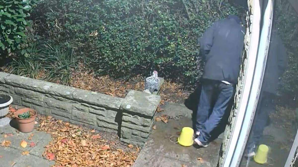 Burglar jailed after triggering ‘Home Alone-style trap’