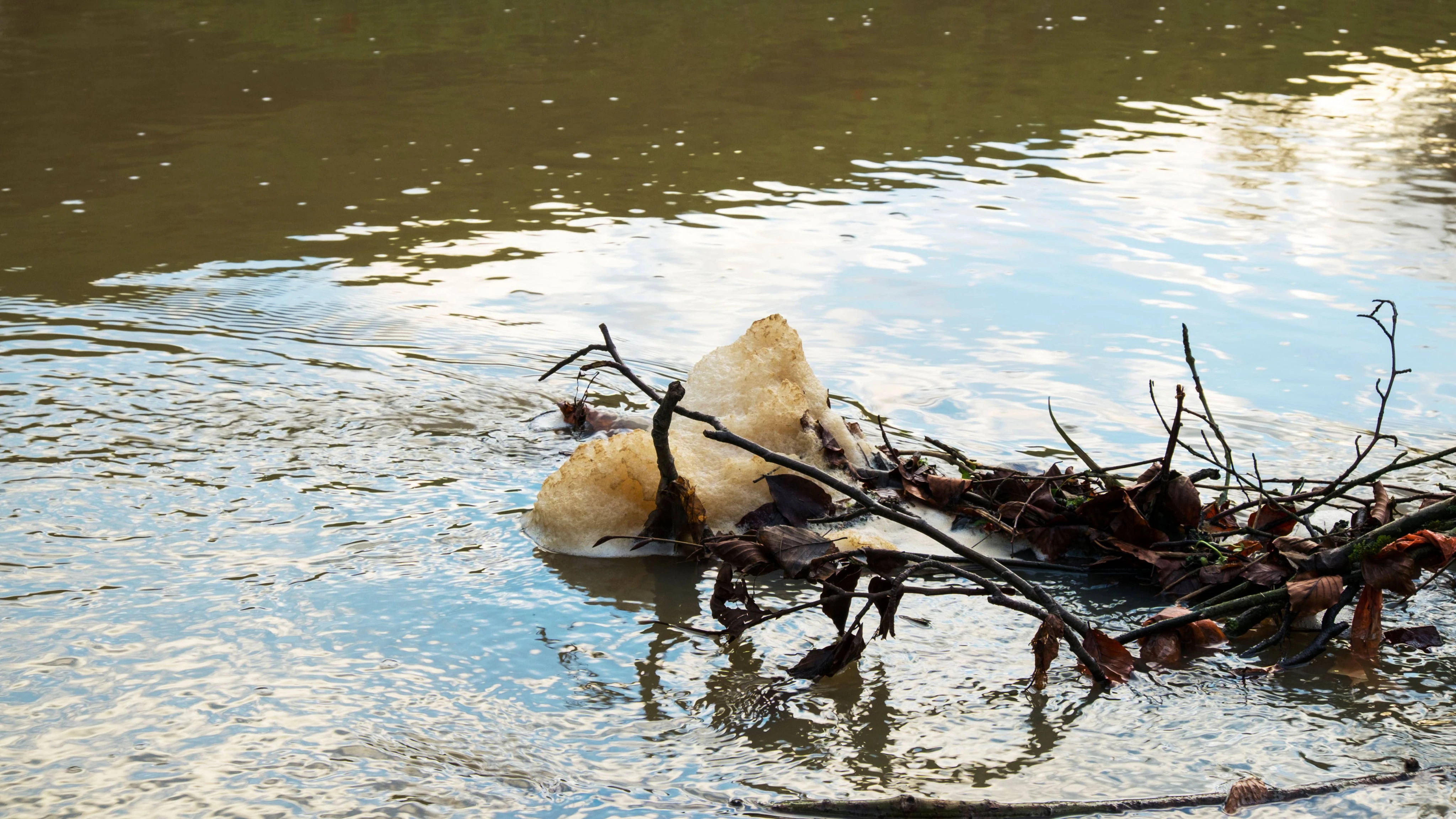 ‘Record’ 81 criminal investigations into water sector as sewage inspections soar