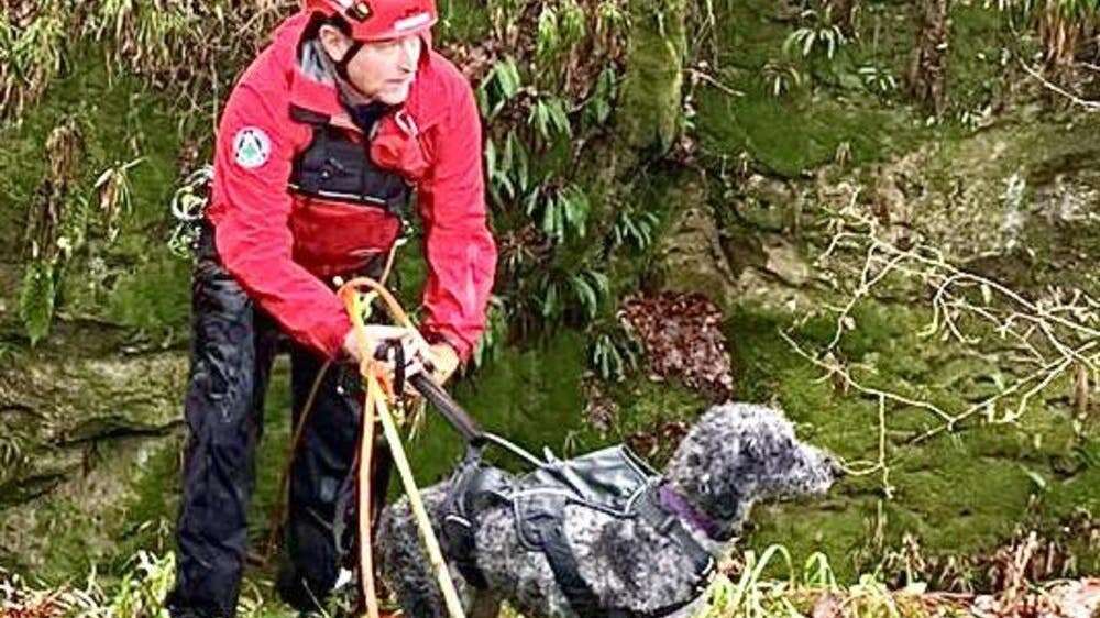 Dog which plunged 30m down waterfall is pulled to safety