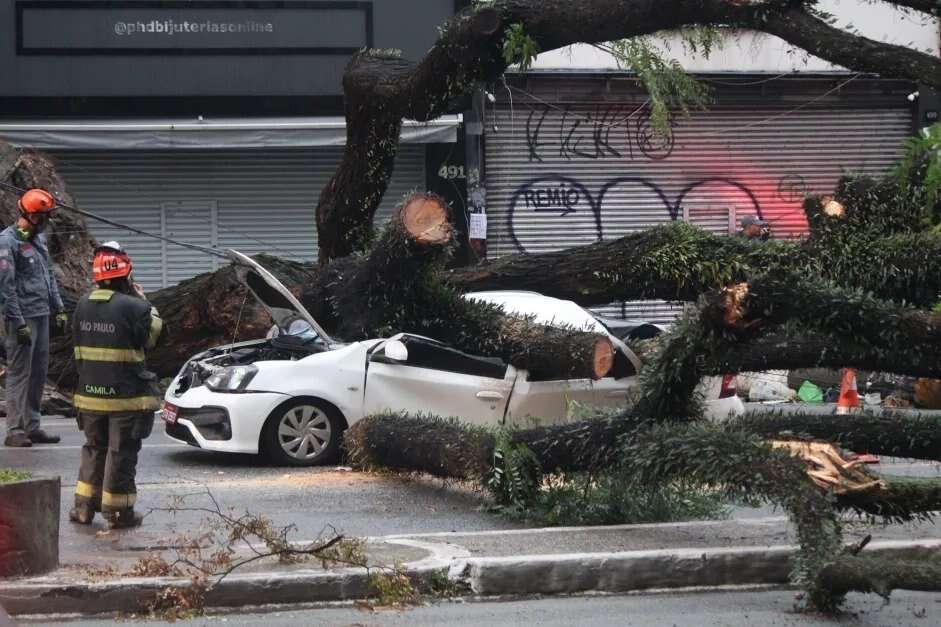 Temporal em SP derruba 343 árvores; 60 mil seguem sem luz