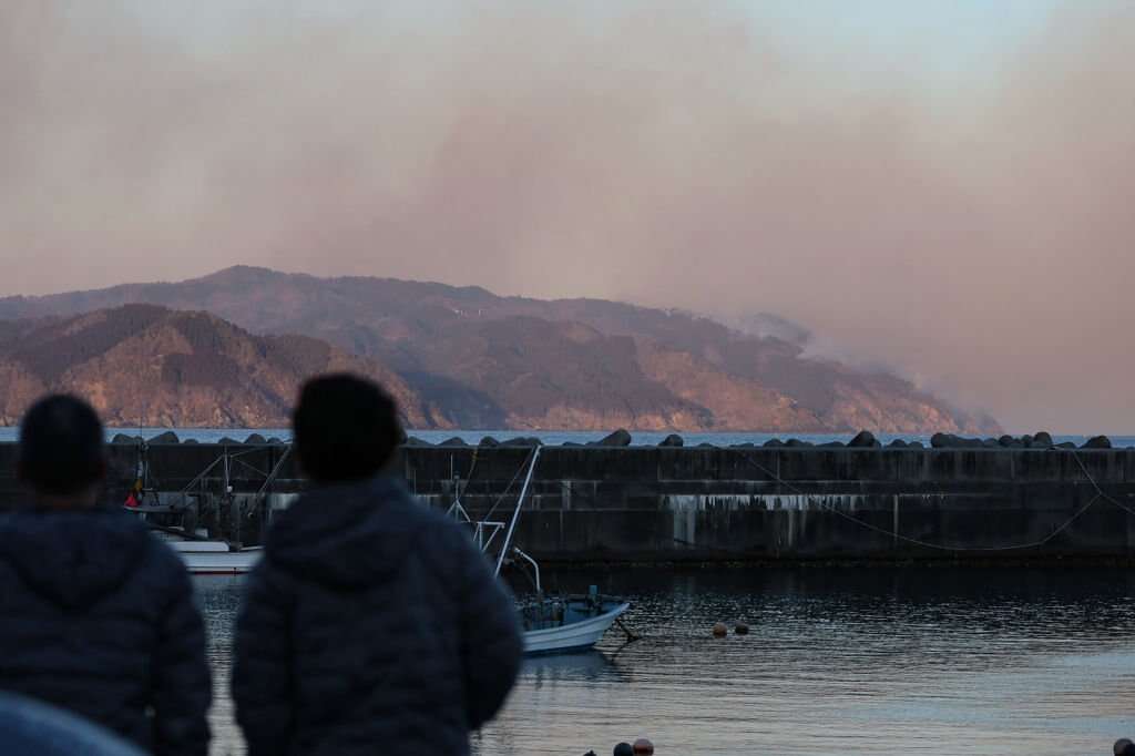 Incêndio florestal no nordeste do Japão é o maior a atingir o país em mais de 30 anos