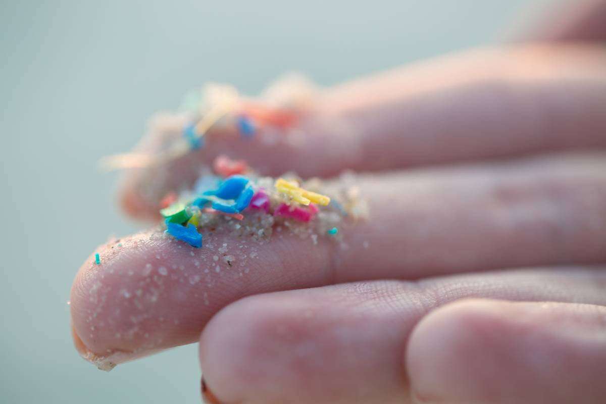 Microplásticos podem chegar ao cérebro horas após consumo — e possíveis danos preocupam cientistas