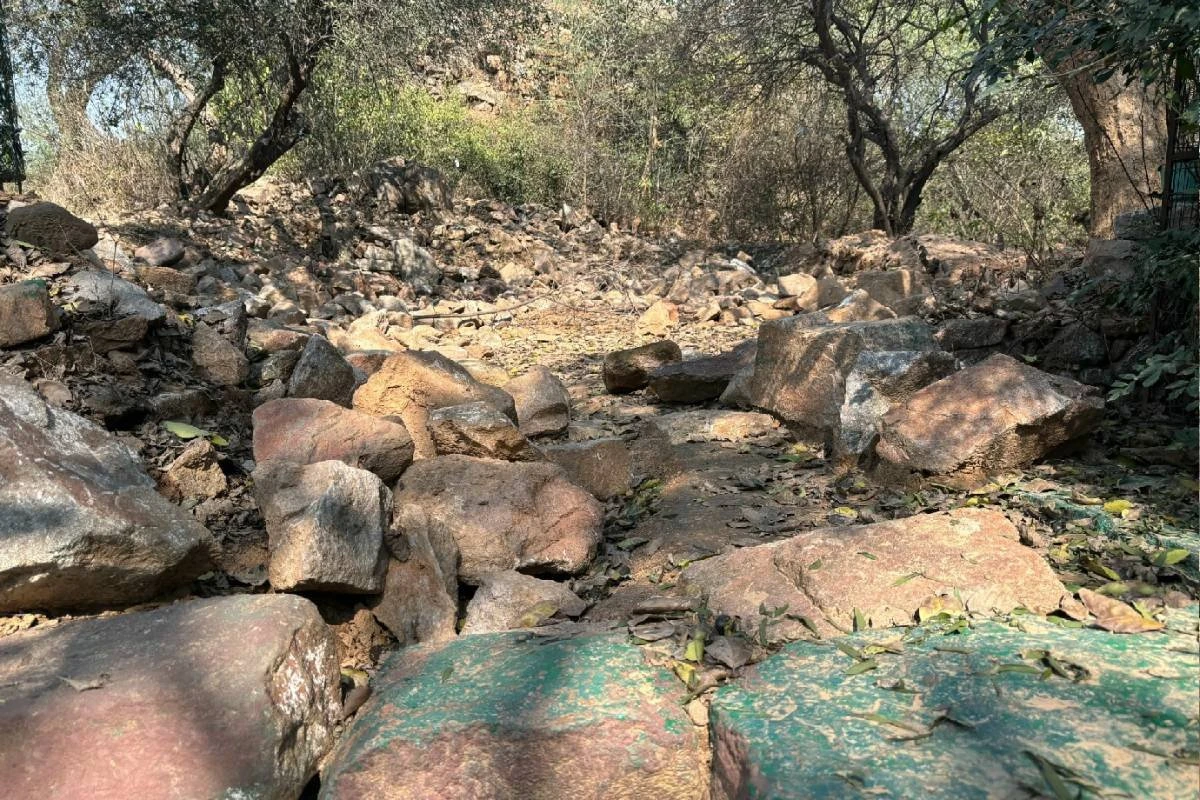 Patrimônio islâmico da Índia é destruído em nome do desenvolvimento