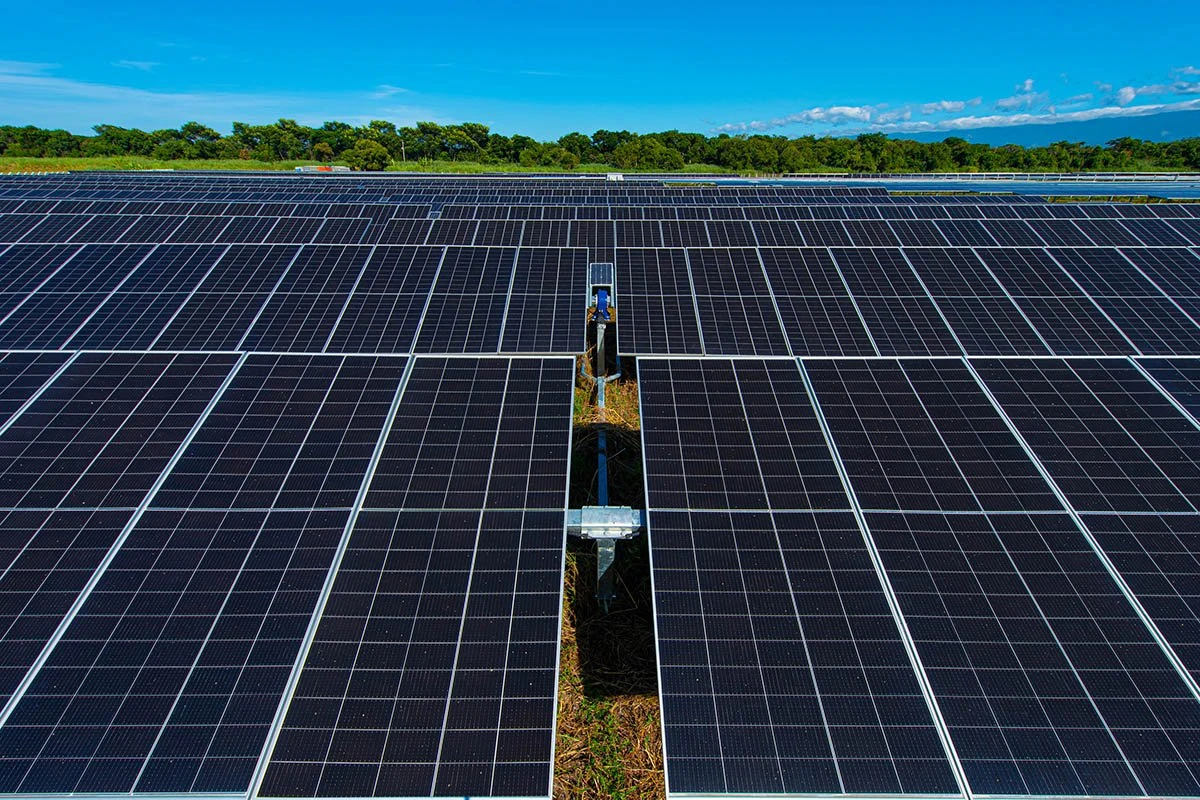 Por que a energia solar não está mais crescendo tanto nos EUA?