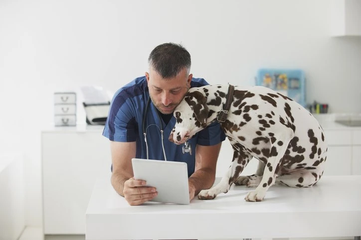 Grupo Petlove se volta para PMEs pet e lança ferramenta focada na saúde dos negócios