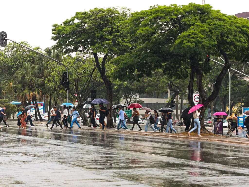 Clima de verão: chuvas e altas temperaturas devem atingir ao menos 19 estados nesta terça