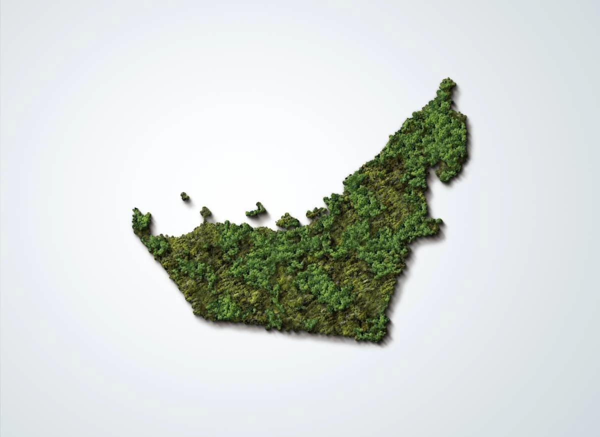 Gestão Sustentável: os primeiros dias da COP 28, expectativas, avanços e dúvidas