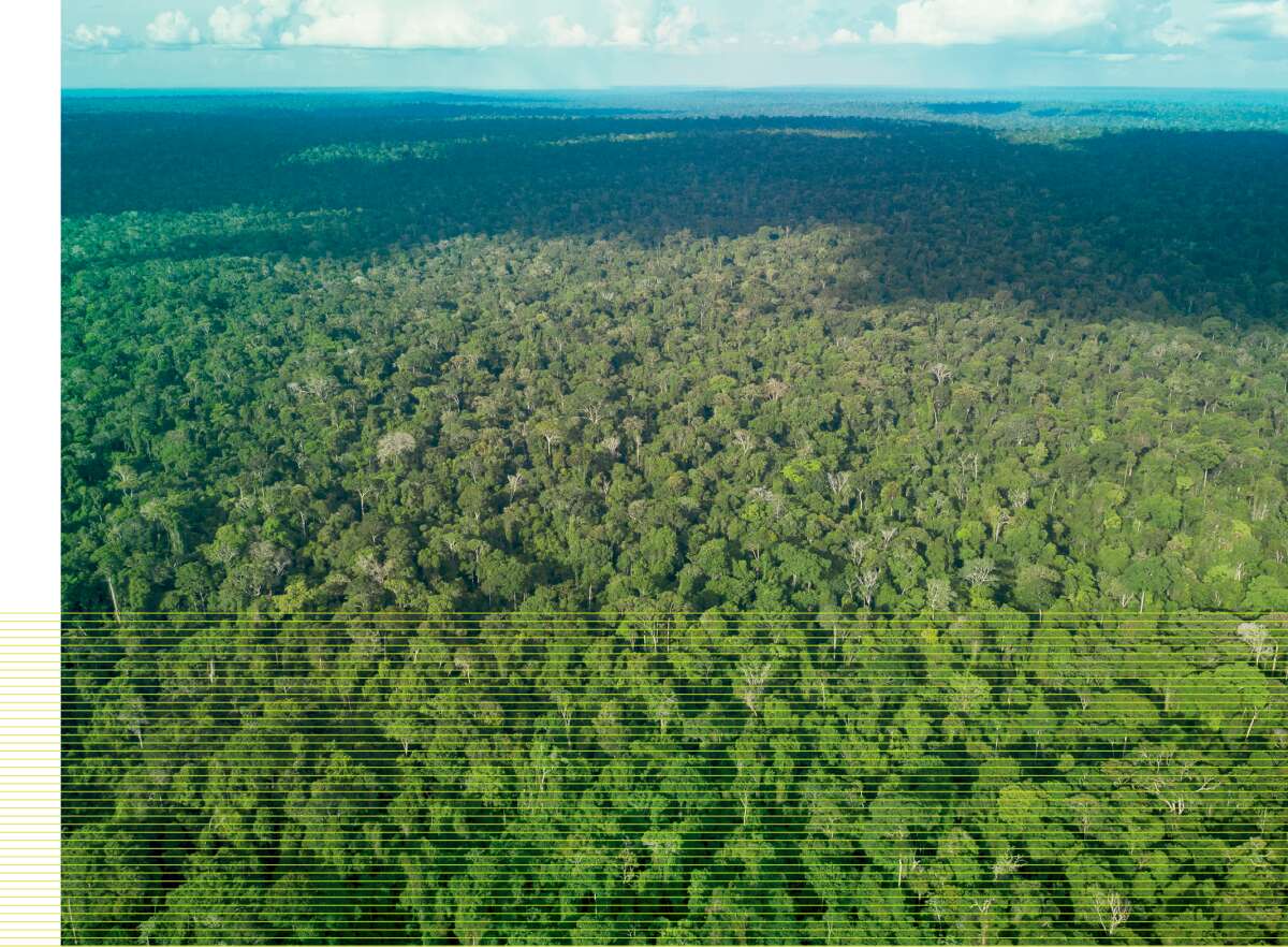 Instituto LIFE expande certificação ambiental e da biodiversidade para Bélgica e México