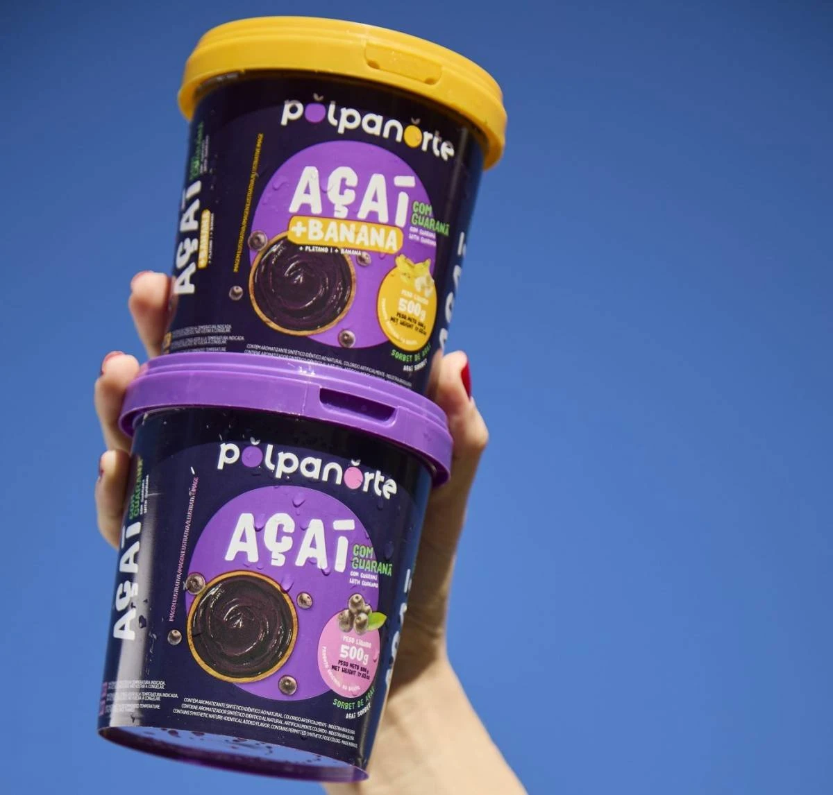 Do interior do Paraná até o Pará: como esta empresa se tornou líder do mercado de açaí