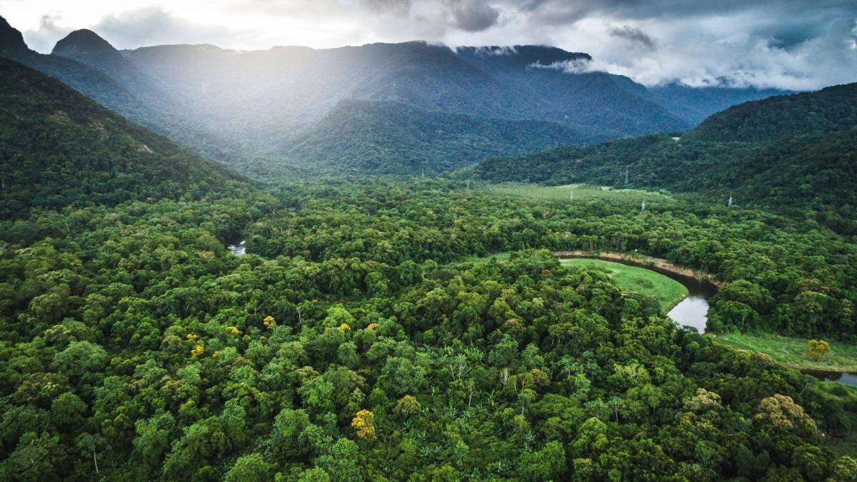 COP16 termina com acordo sobre financiamento da biodiversidade, mas lacuna bilionária persiste