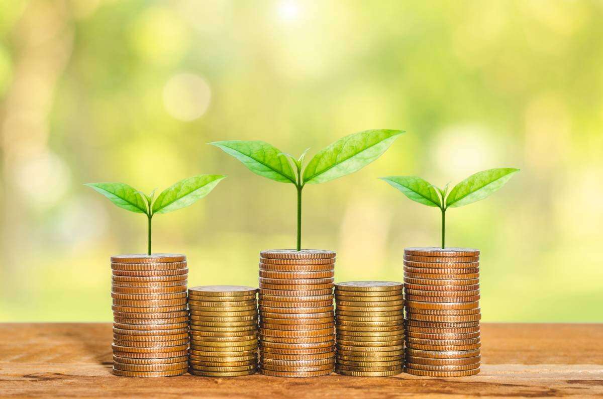 Startups com agenda ESG atraem mais investimento