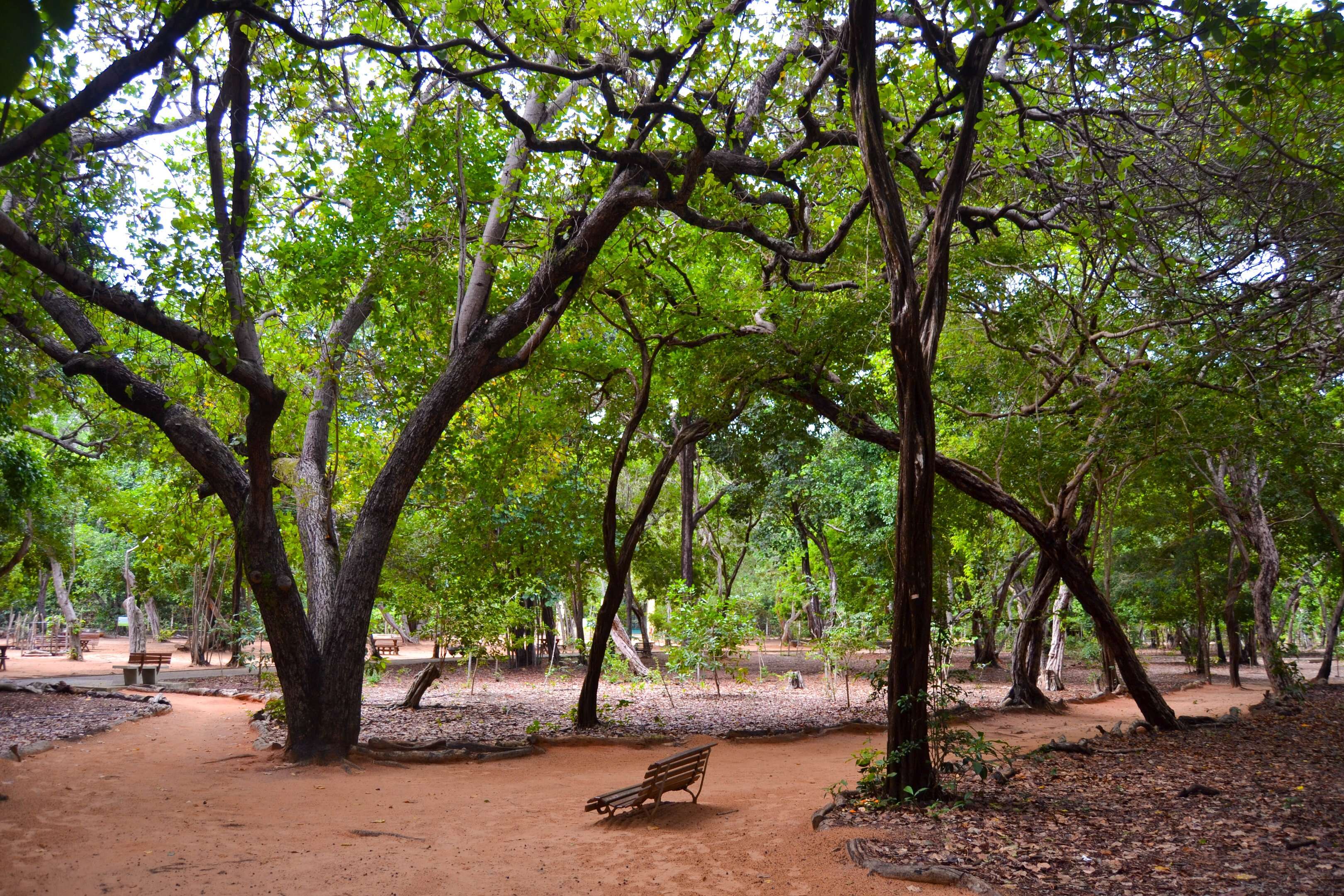 Parques estaduais batem 4 milhões de visitas em um ano e revelam potencial do turismo sustentável