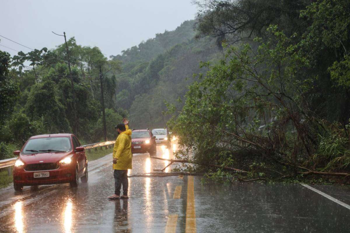 Litoral de SC entra em alerta vermelho para alagamentos; veja previsão do tempo