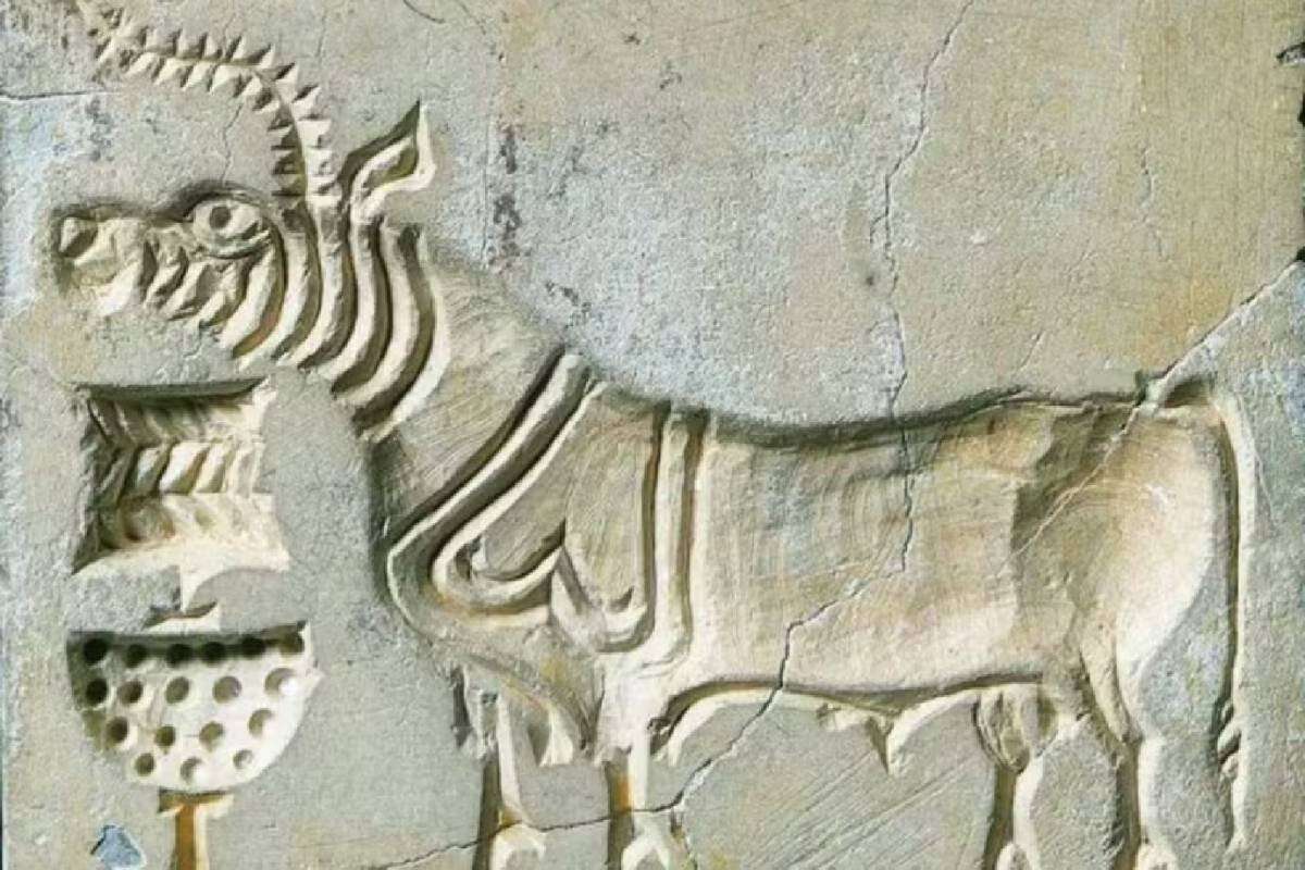 Governo indiano oferece R$ 1 milhão para quem conseguir decifrar um misterioso código de 5300 anos