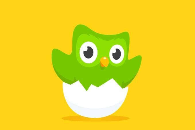 Duolingo anuncia que mascote ‘'morreu'; entenda