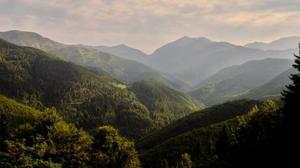 Zegna to Bring Environmental Conservation Initiative to Aspen