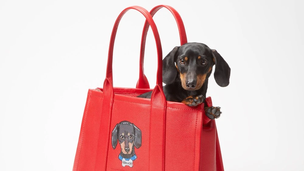 Marc Jacobs Offering Hand-painted Pet Portraits in the Hamptons