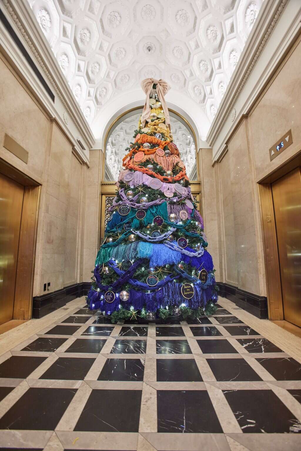 In D.C., a Holiday Tree, Lingua Franca Style 