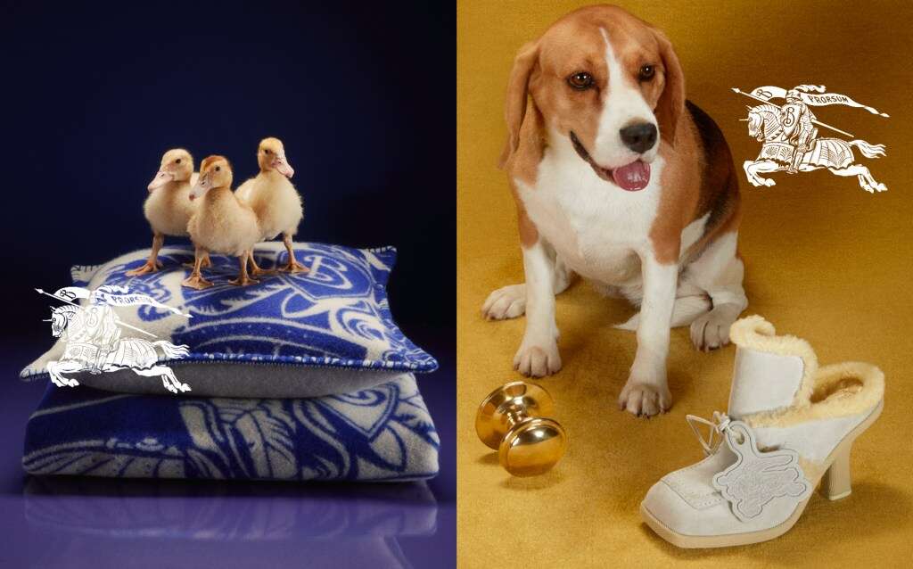 Daniel Lee’s First Holiday Campaign Rains With Ducks and Dogs