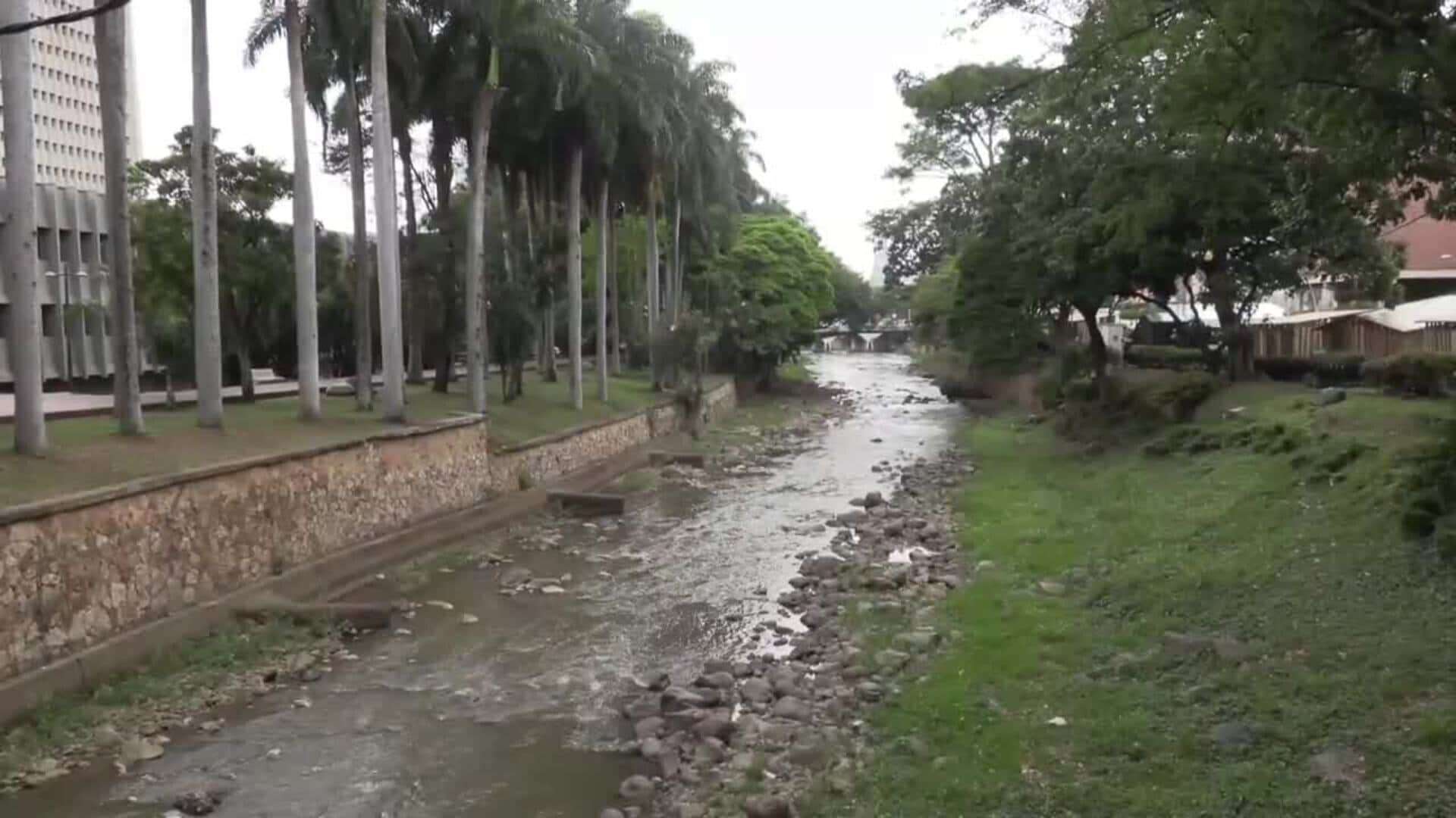 Cali recibe al mundo en la COP16 para abordar tarea pendiente de proteger la biodiversidad