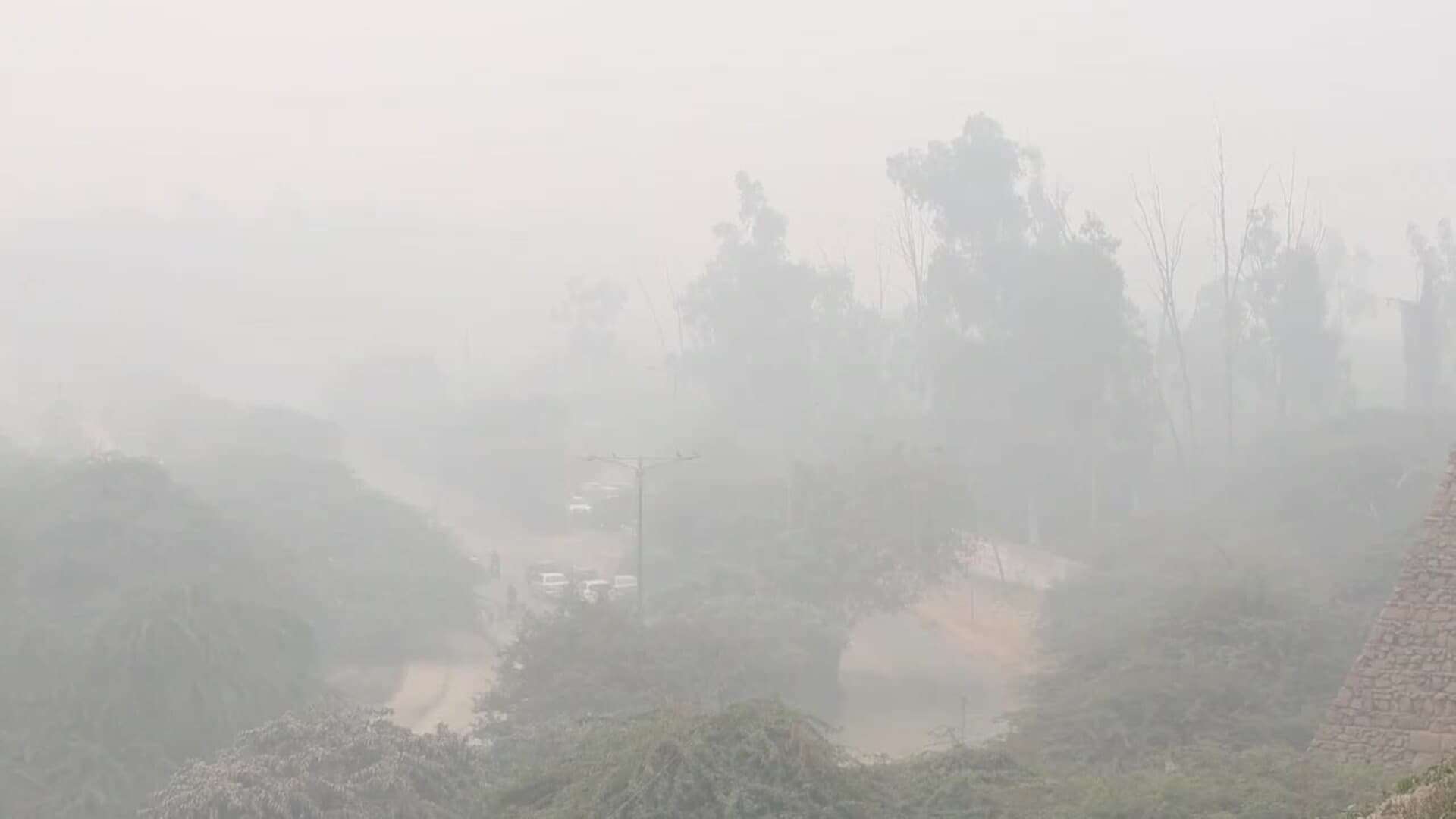 Un manto de esmog tóxico cubren Nueva Delhi este lunes