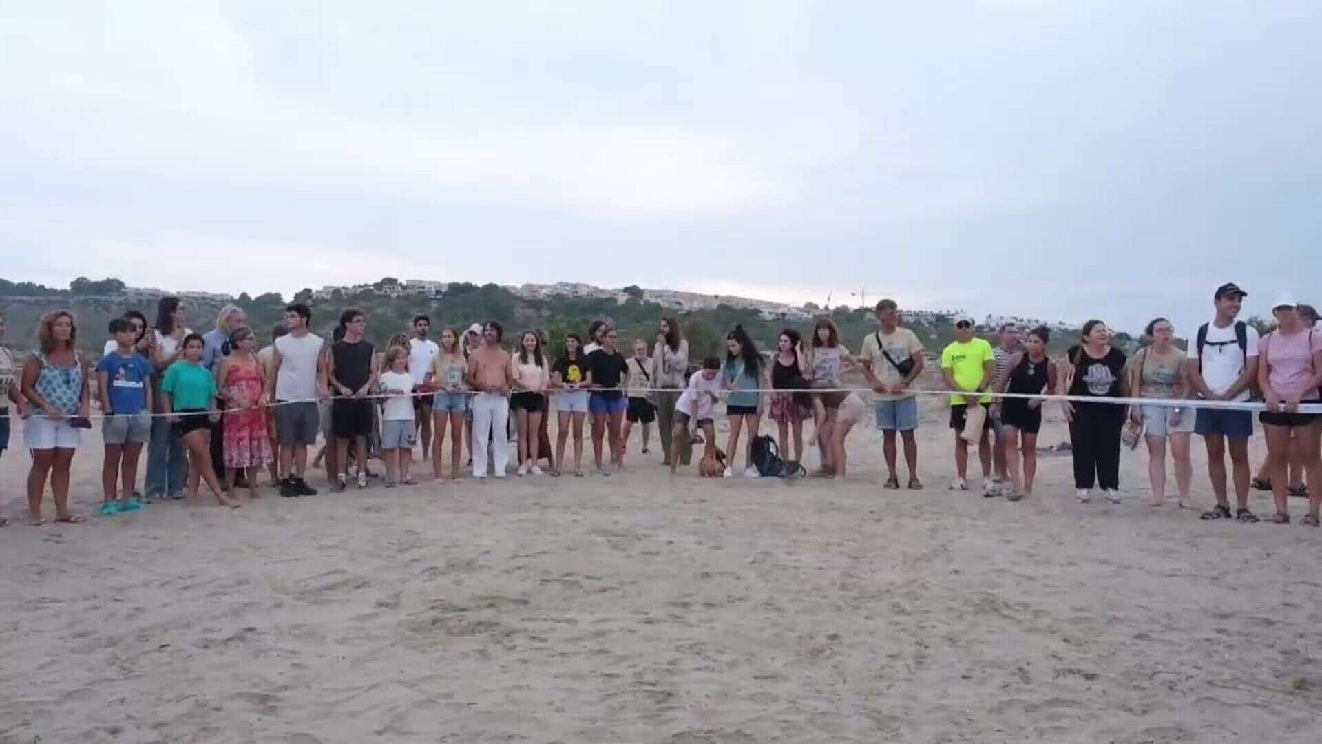 Liberadas catorce tortugas bobas en la playa alicantina del Carabassí