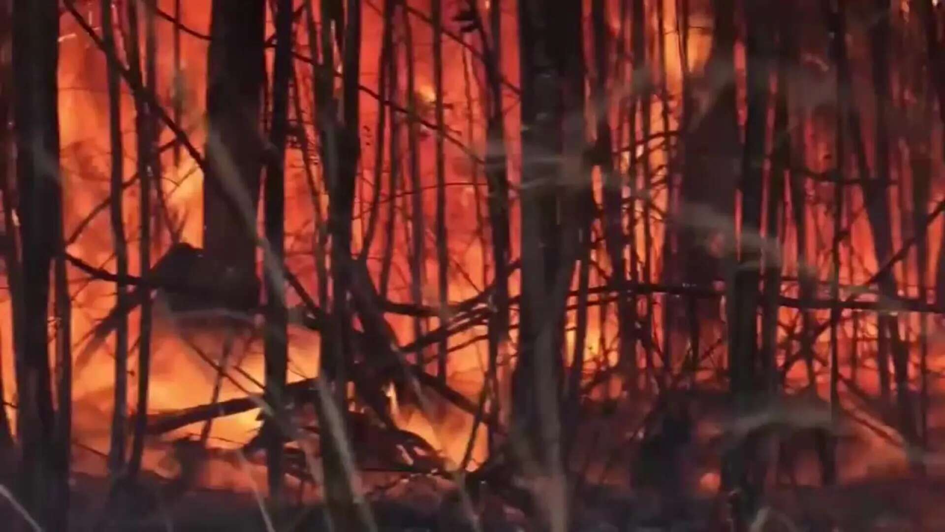 La crisis climática en Brasil aumenta la 