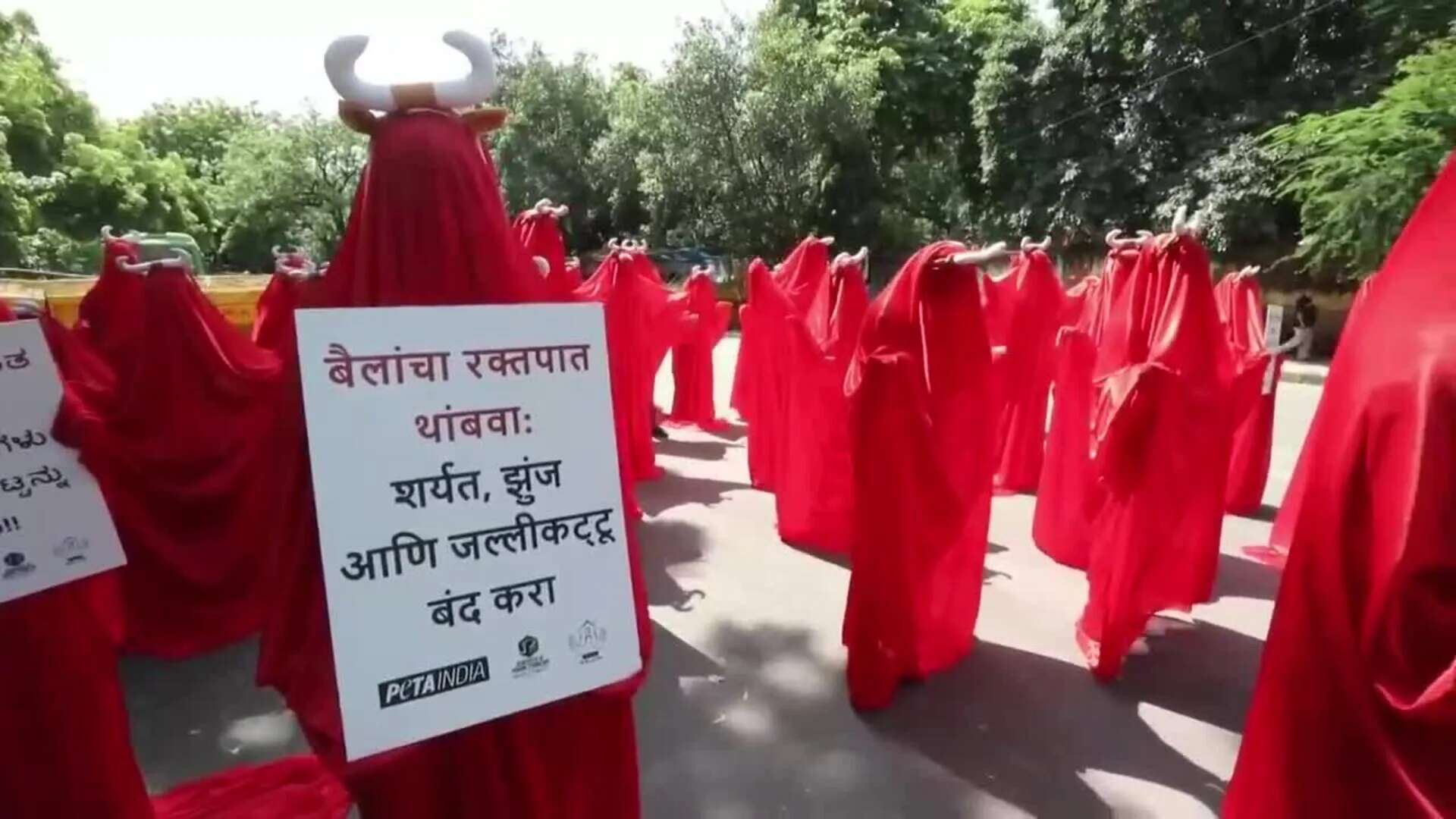 PETA protesta contra el maltrato a los toros en Nueva Delhi