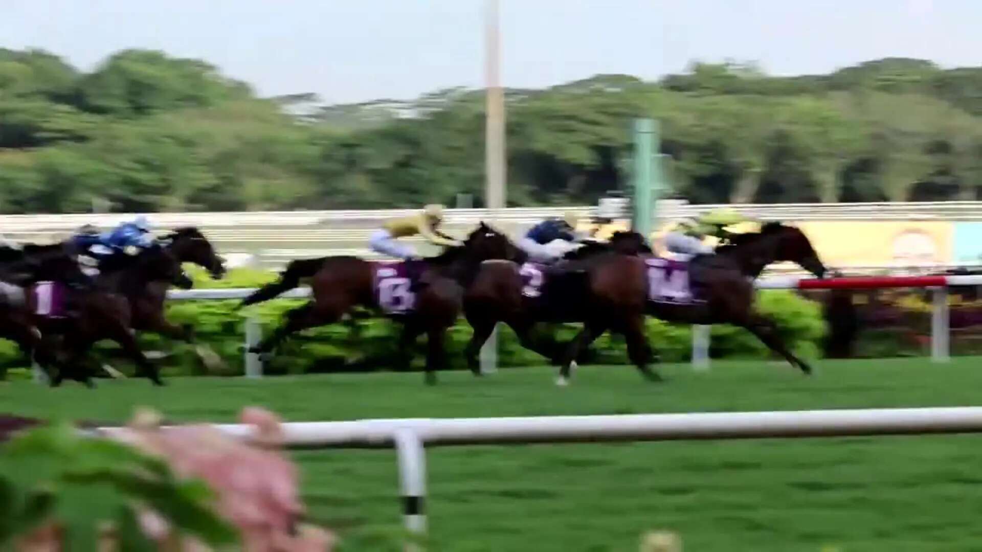 La última competición de carreras de caballos en Singapur pone fin a una tradición de 182 años