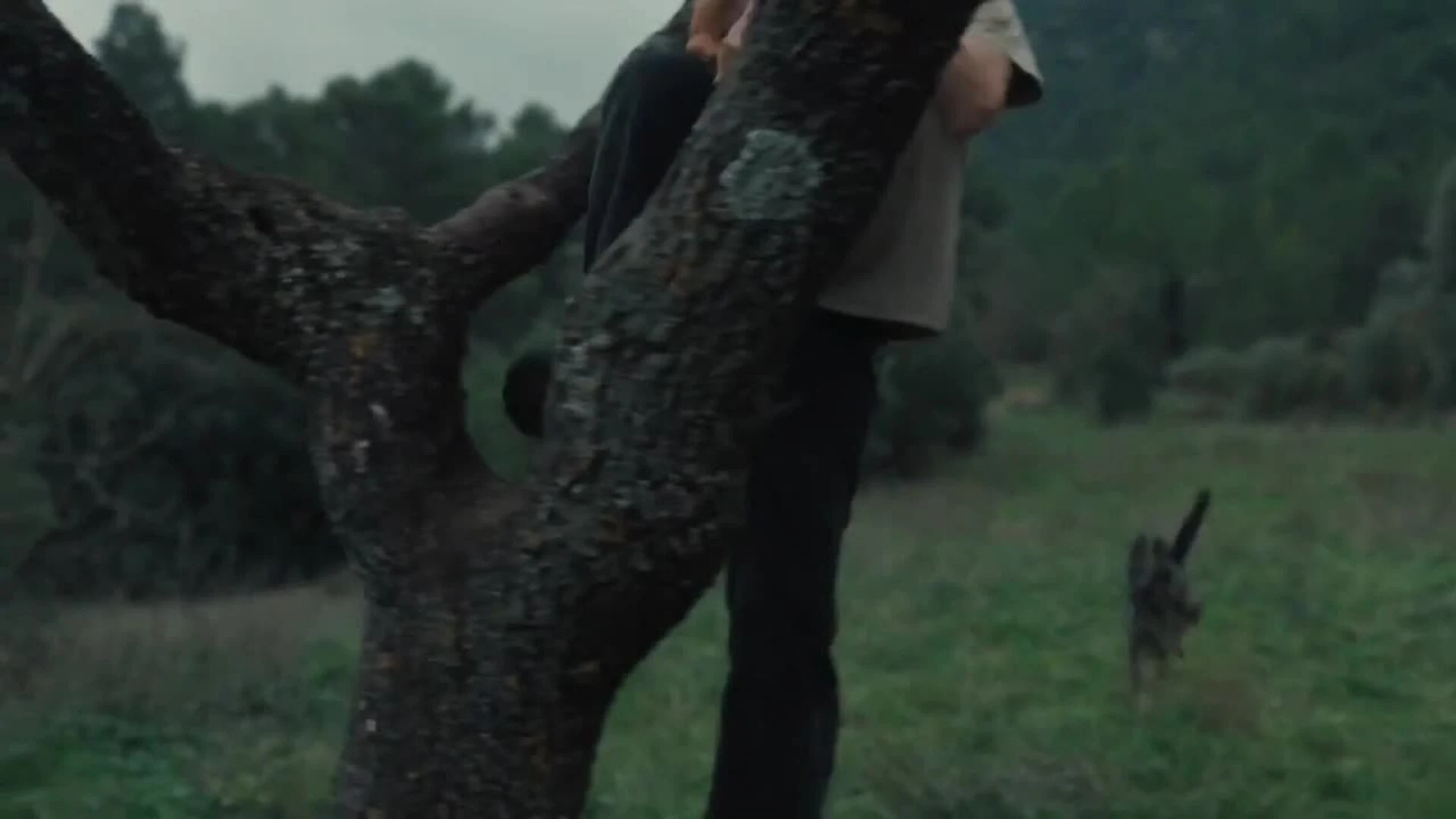 'Llobàs', una revisión del mito del hombre lobo