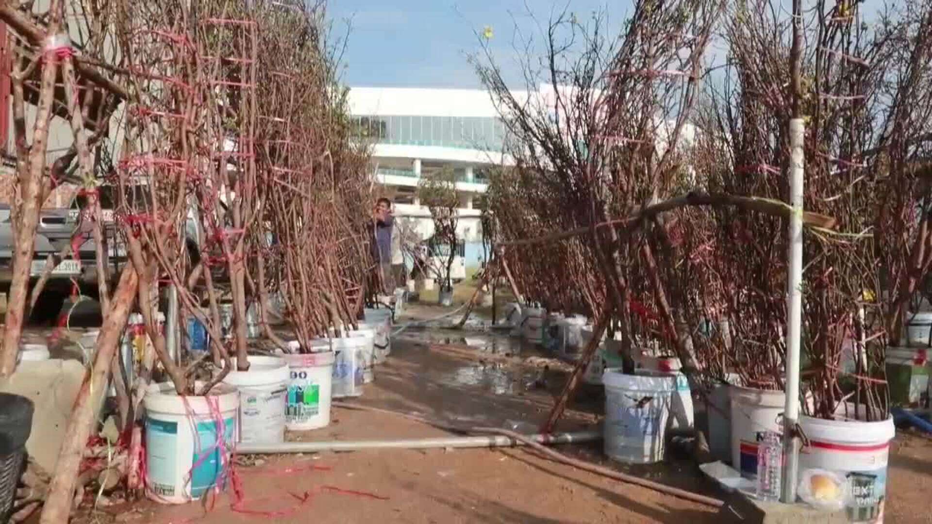 Los comercios de la capital de Camboya lo tienen todo listo para el Año Nuevo Lunar