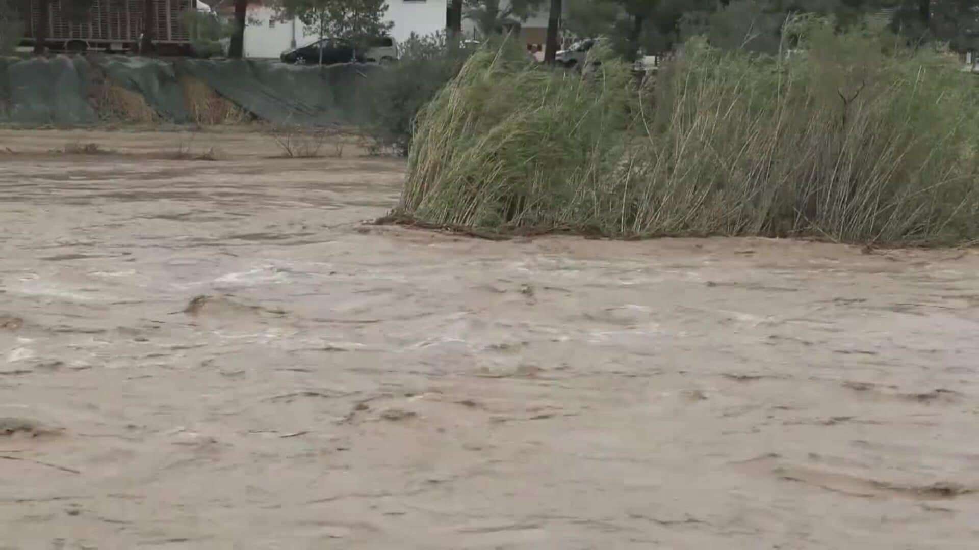 El río Magro podría desbordarse por las intensas lluvias a su paso por Alfarp (Valencia)