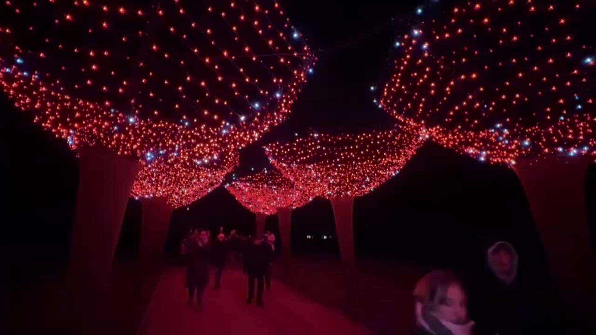 Jardín Botánico de Meise conecta a visitantes con árboles en el corazón de Bélgica