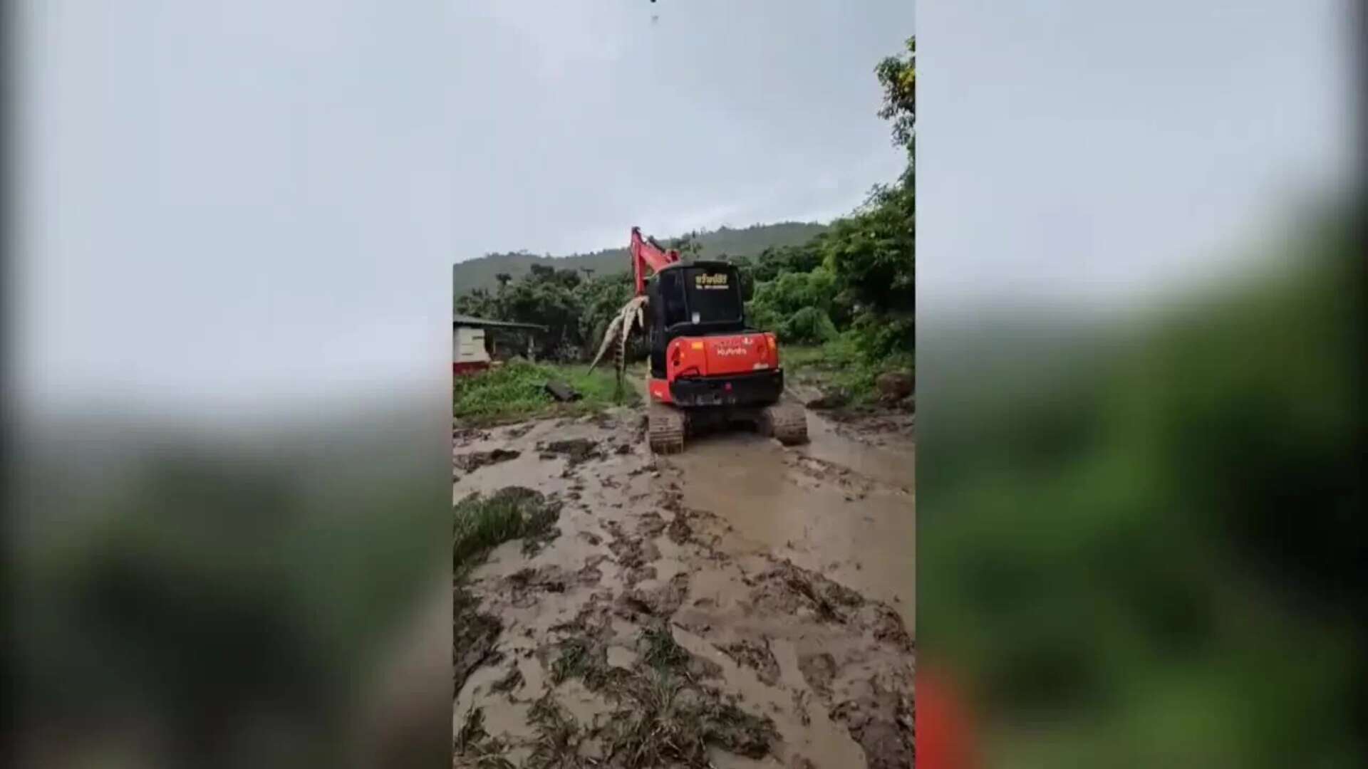 Un criadero sacrifica 125 cocodrilos debido a las inundaciones en Tailandia