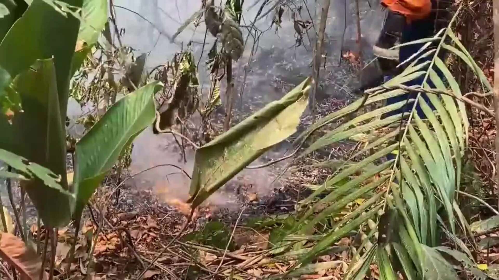 Carrera para salvar de las llamas un parque natural brasileño con más de un tercio quemado