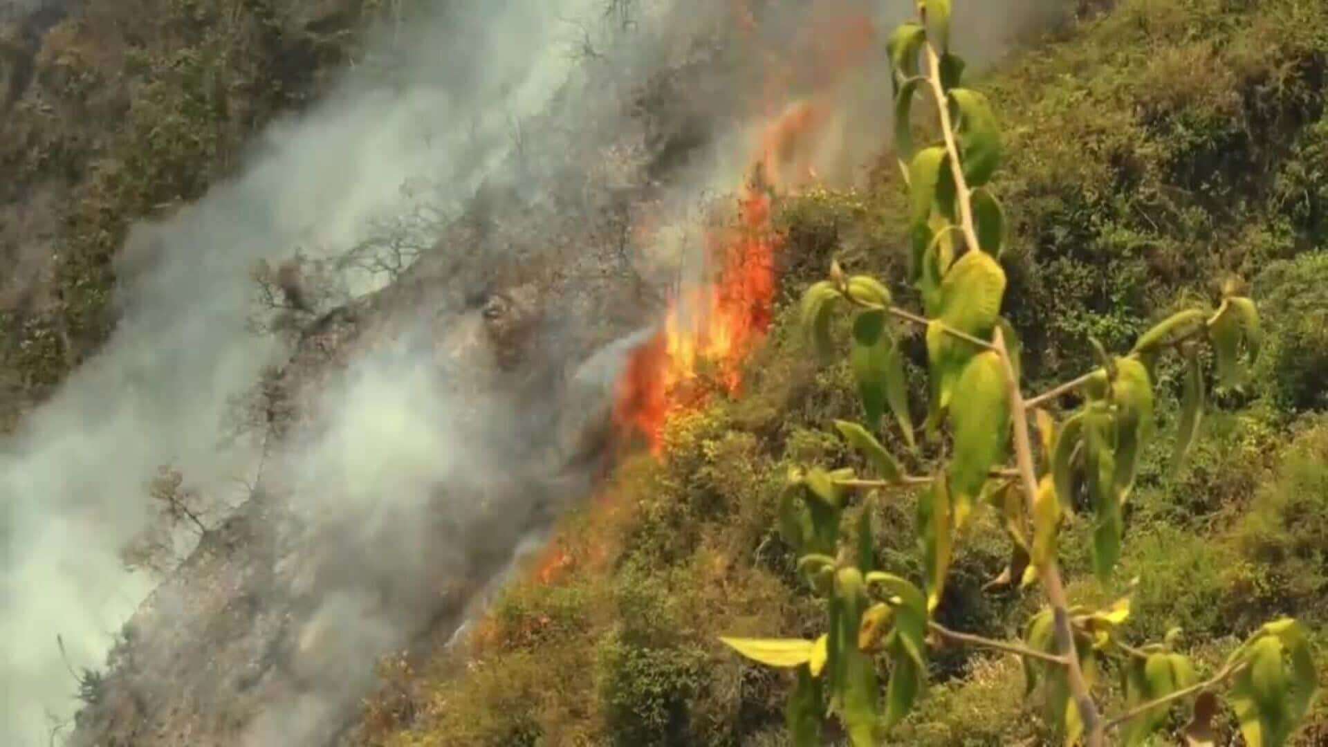 Incendios forestales devastan más 38.000 hectáreas en Ecuador