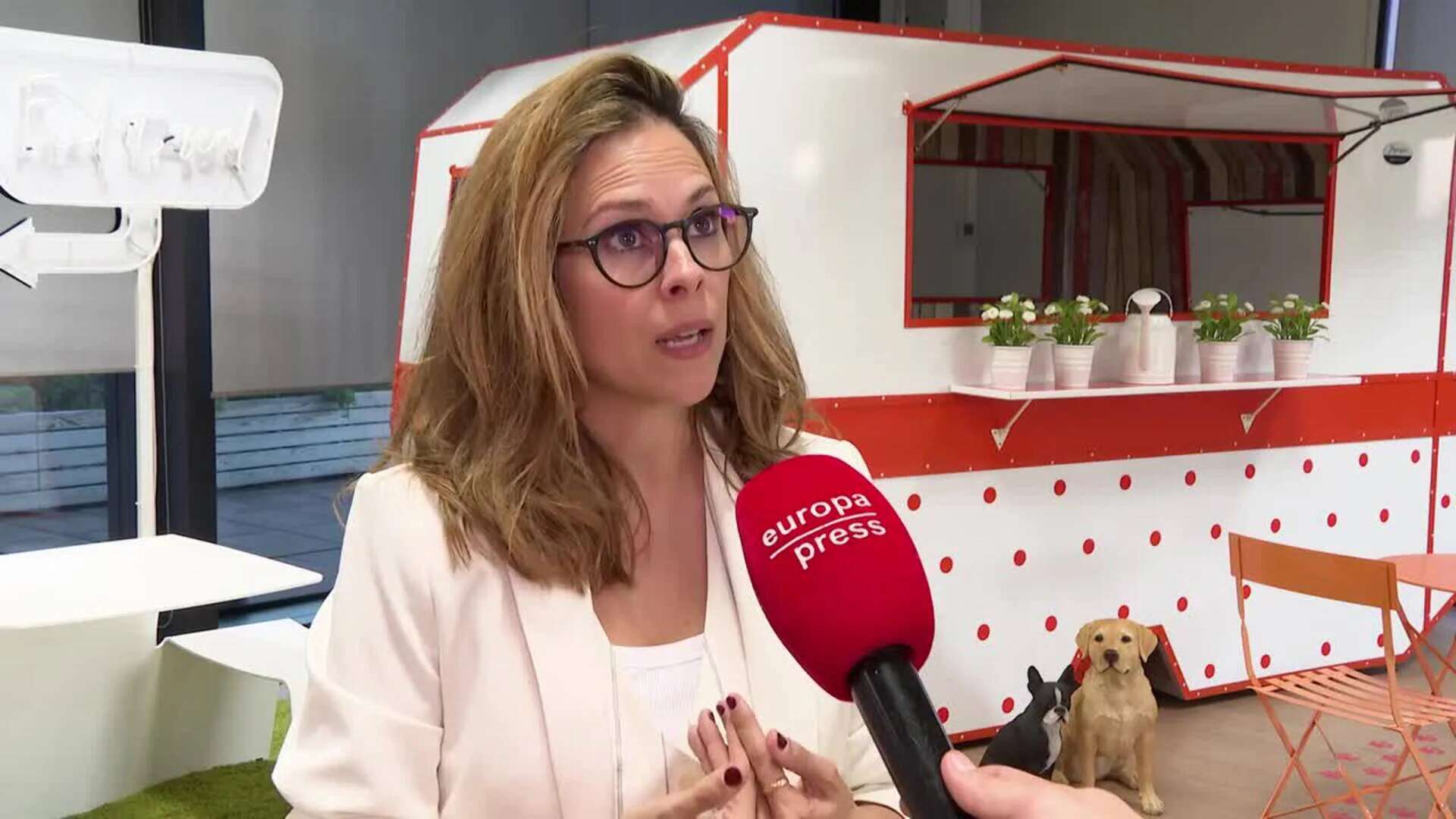 La Fundación Affinity advierte que regalar mascotas por sorpresa en Navidad “no es buena idea”