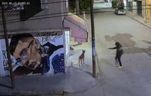 Sujeto mata a balazos a un perro en Ecatepec; el agresor sería un agente de la FGJEM