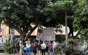Conceden suspensión provisional para evitar la tala del árbol centenario Laureano