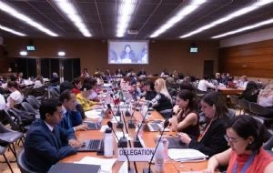 Integrantes de la CEDAW-ONU reconocen acciones del gobierno mexicano en materia de mujeres