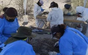 Hallan restos humanos en otra fosa clandestina de Patrocinio, 