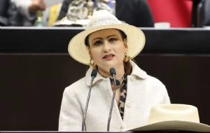 A Manzo lo mataron porque afectó intereses de criminales y políticos: diputada de 