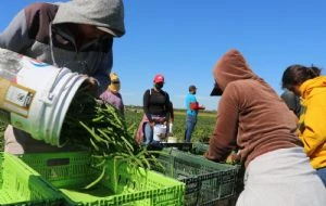 México registró la mayor pérdida de empleos permanentes desde 2015