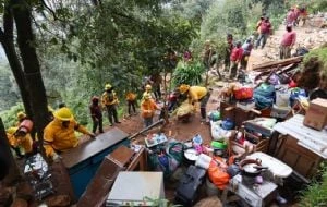 Recuperan cuatro hectáreas invadidas en la zona boscosa de Los Dinamos