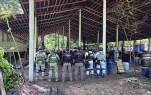 Desmantelan narcolaboratorio en Palenque, Chiapas; incautaron 900 kilogramos de metanfetaminas