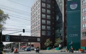 A sus 8 años Max sufre la muerte de su madre, los golpes de su padre y un litigio empantanado