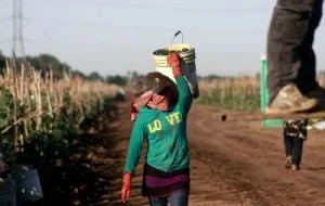 México esquiva la recesión con alfileres en el primer trimestre de 2025: Inegi