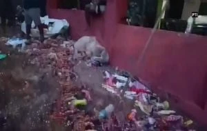 Estampida humana en templo de la India deja seis muertos